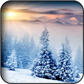 Winter wallpapers icon