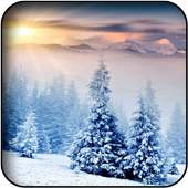 Winter wallpapers 26