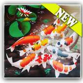 tema 3d ikan koi 1.0