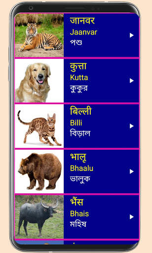 Learn Hindi From Bangla screenshot 5