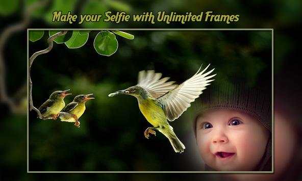 Birds Photo Frames screenshot 4