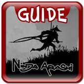 Guide for Ninja Arashi 1.1