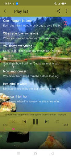 Romantic love songs offline   lyrics screenshot 3