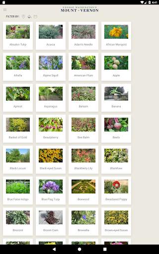 Mount Vernon screenshot 13