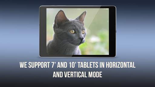 Wallpaper Cat screenshot 7