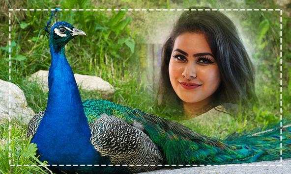 Peacock Photo Frames screenshot 3