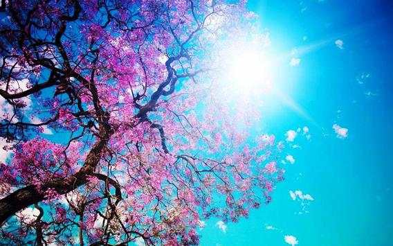 Spring Wallpapers 2018 screenshot 1