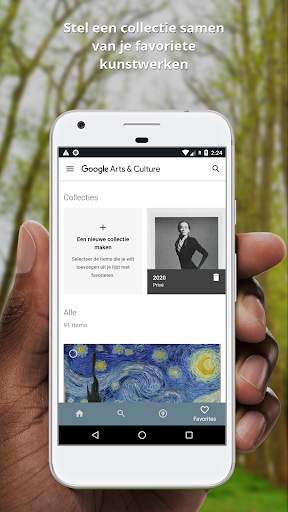 Google Arts & Culture screenshot 5
