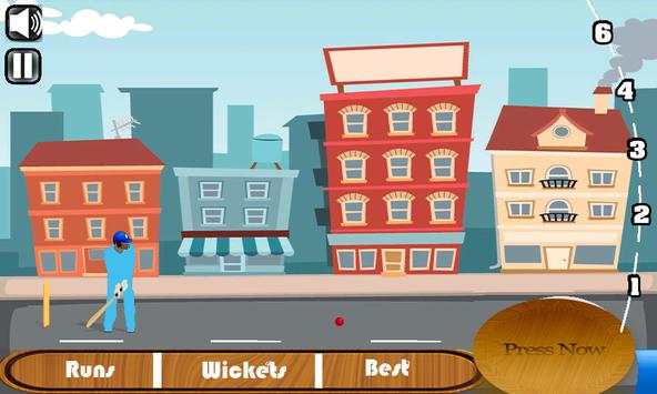 Street Cricket Game 2017 screenshot 2