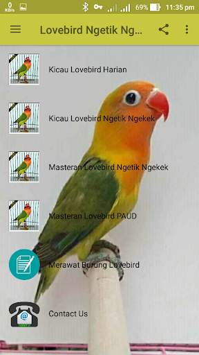 Lovebird Ngetik Ngekek Offline screenshot 3