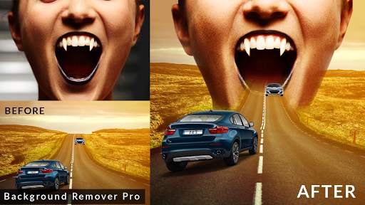 Background Remover Pro Eraser screenshot 4