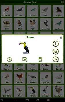 Birds Calls Sounds Ringtones screenshot 6