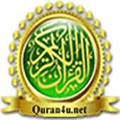 Quran Warsh Pages برواية ورش on 9Apps