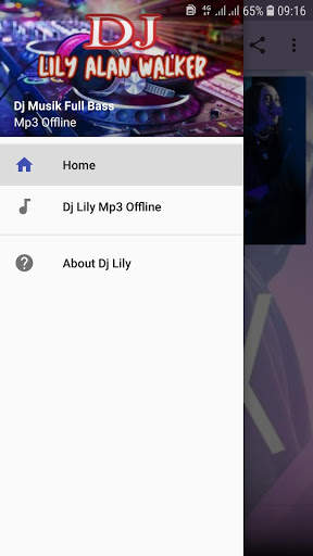 Dj Lily Alan Walker - Mp3 Offline screenshot 1