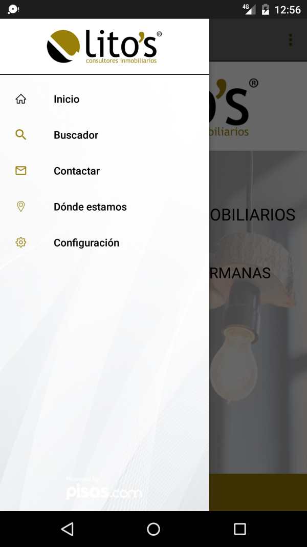 Lito's Consultores 2 تصوير الشاشة