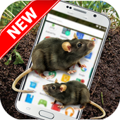 Mouse On Screen - Funny Prank icon