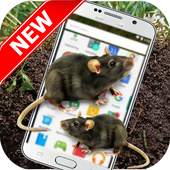 Mouse On Screen - Funny Prank 2.0