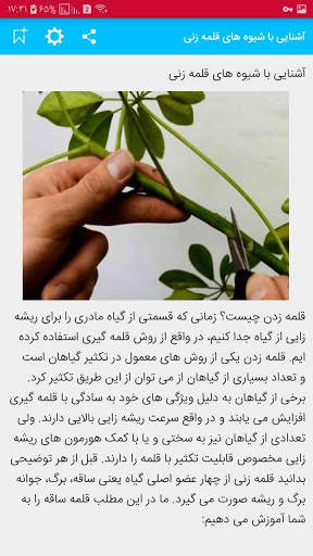 گل و گیاهان اپارتمانی   پرورش و نگهداری screenshot 2