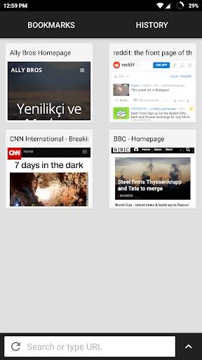 NetRover Private Browser screenshot 1