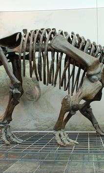 Dinosaur Skeleton Wallpapers screenshot 4
