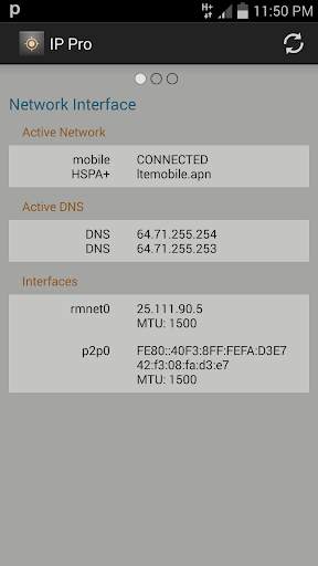 IP Pro (Open Source) screenshot 2