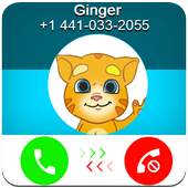 Call From Talking Ginger 1.0