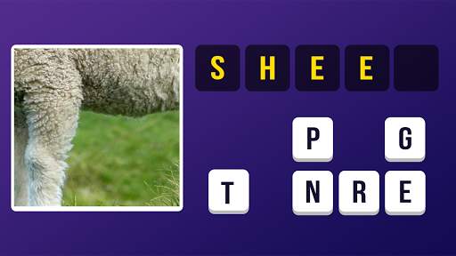Zoom Pic: Close Up Picture Quiz 2021 скриншот 7