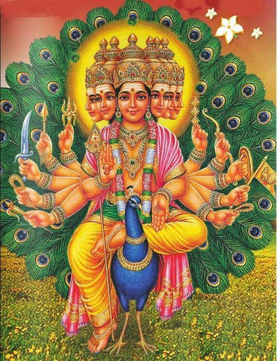 Lord Murugan Wallpapers screenshot 8