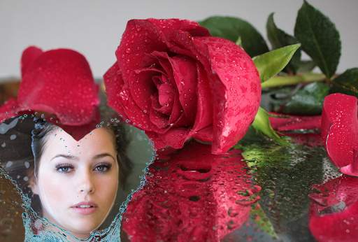 Rose Flower Photo Frames 2016 screenshot 2
