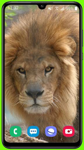 Lion Wallpaper Best HD screenshot 16