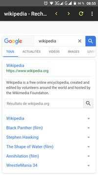 Browser screenshot 2