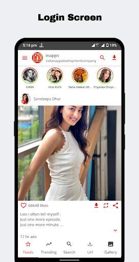 Reels Downloader: Story Saver screenshot 2
