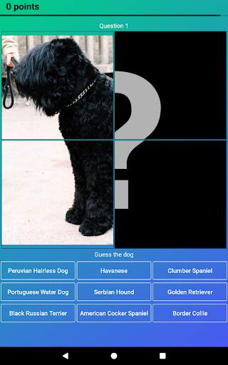 Dog Quiz: Guess the Breed — Game, Pictures, Test screenshot 14