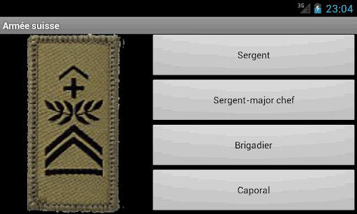 Schweizer Armee Dienstgrade скриншот 6