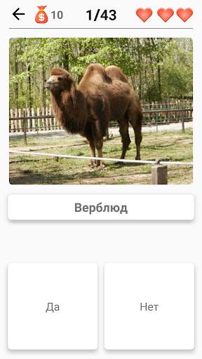Млекопитающие – все животные в тесте по зоологии! скриншот 6