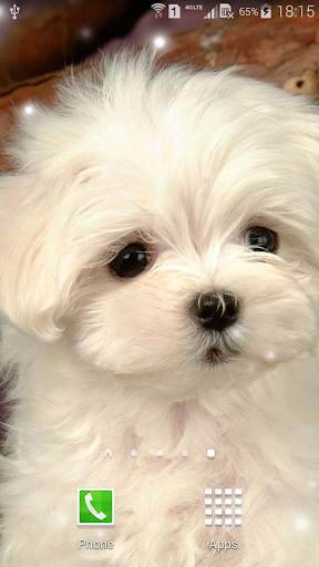 Puppies Live Wallpaper screenshot 6