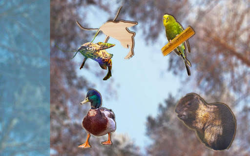 Puzzle Game for Kids Animals and Birds, Full Game screenshot 9