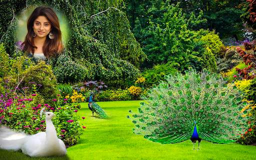 Peacock Photo Editor - CB Photo Frames Banane Wala screenshot 10