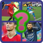 FIFA World Cup icon