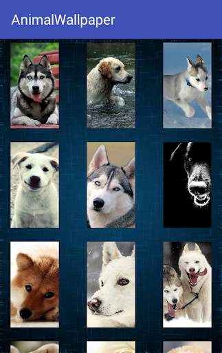 Animal Wallpaper screenshot 11