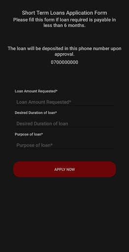 Quick Loans screenshot 4