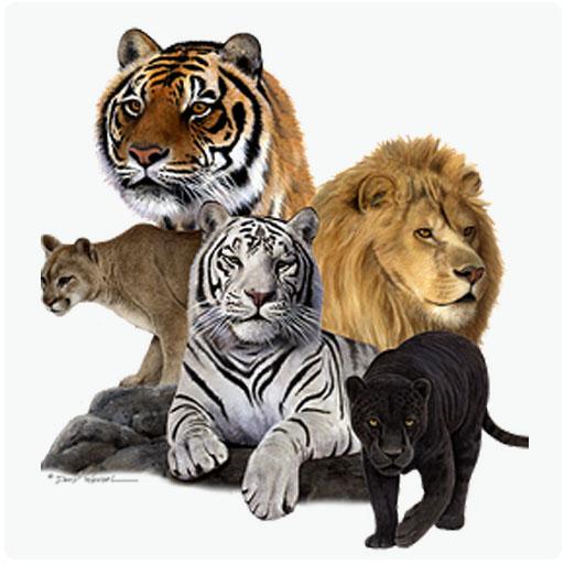 Animal Sounds icon