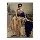 Hot Saree icon