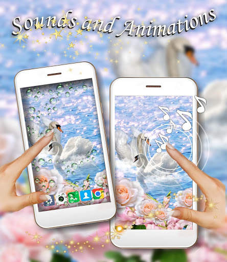 Swans Spring Love live wallpaper screenshot 3