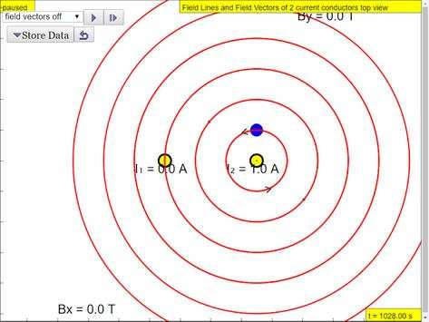 Magnetic Field of Wire(s) Sims screenshot 5
