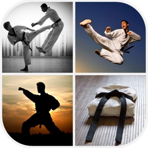 Martial Arts Wallpaper 4.0.8