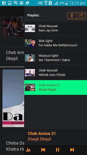 Musique Rai screenshot 5