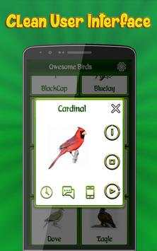 Birds Calls Sounds Ringtones screenshot 2