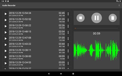 Audio Recorder (No Ads) screenshot 14