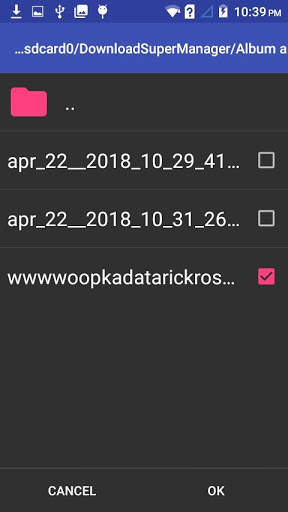 Download Manager - DEMO VERSION - DEMO USE ONLY screenshot 3